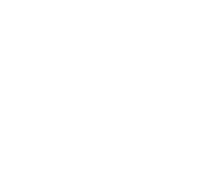 ELITE SERVICES PLUS